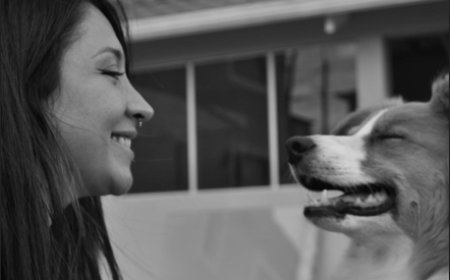 El entrenamiento como vía de comunicación, confianza y educación para tu mascota