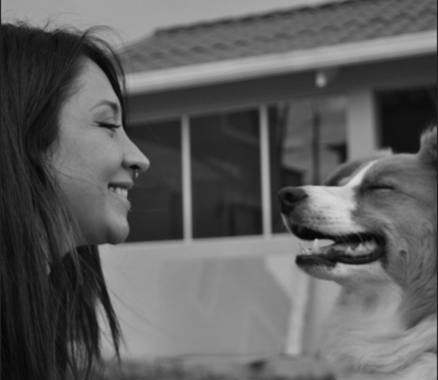 El entrenamiento como vía de comunicación, confianza y educación para tu mascota